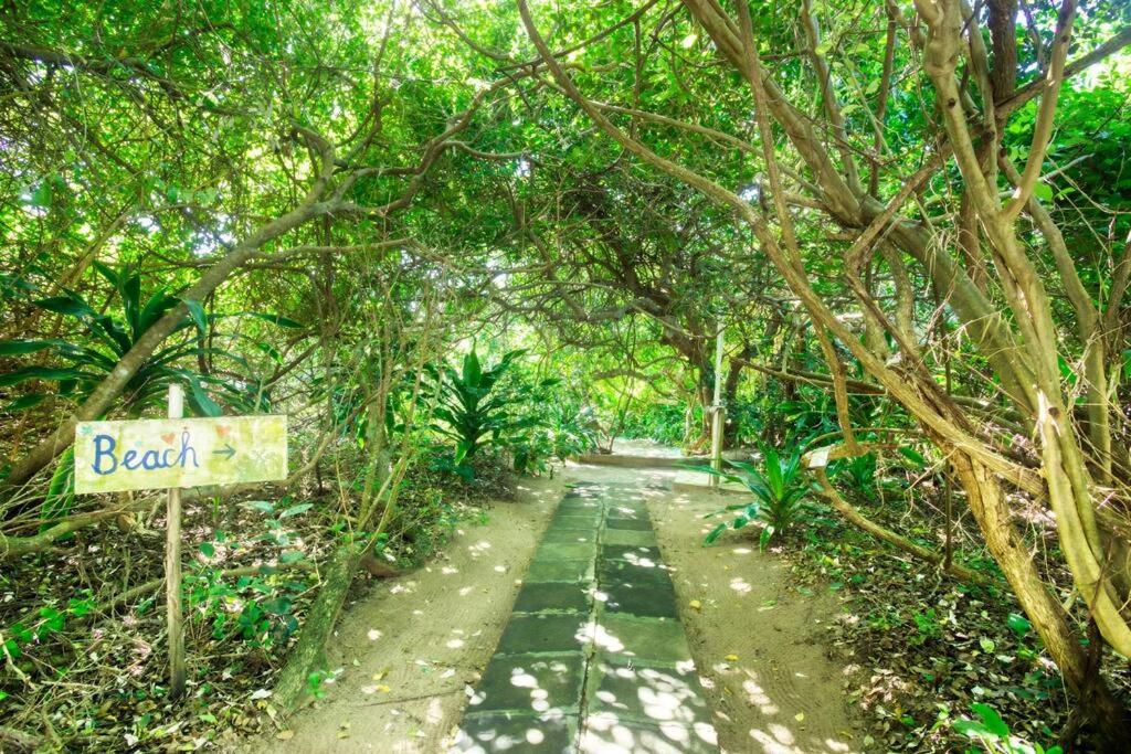 Baleia Azul 26 Villa Ponta Mamoli Ngoại thất bức ảnh